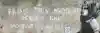 shutterstock_image.jpg