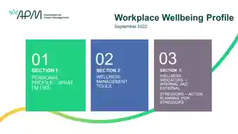 Workplace Wellbeing Profile