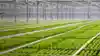 Low Carbon Farming 1920X1080